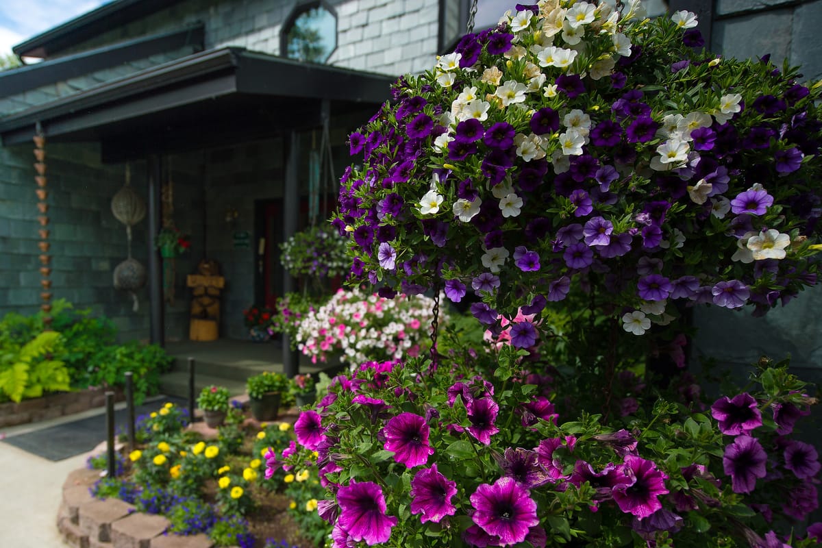 Alaska House of Jade Bed & Breakfast — 5
