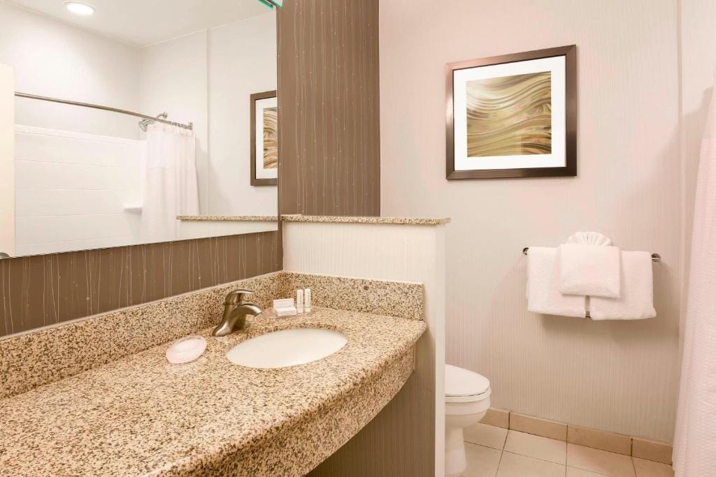 Courtyard by Marriott Dallas Arlington South — 3