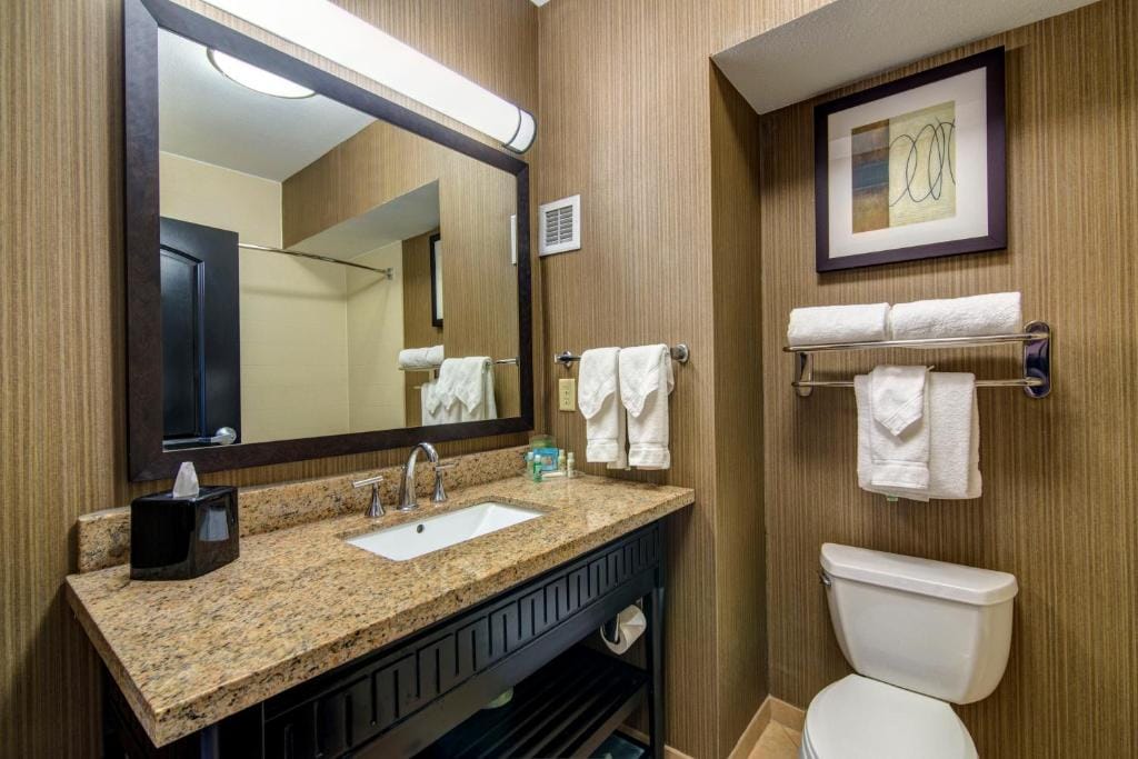 Holiday Inn Arlington Northeast by IHG — 3