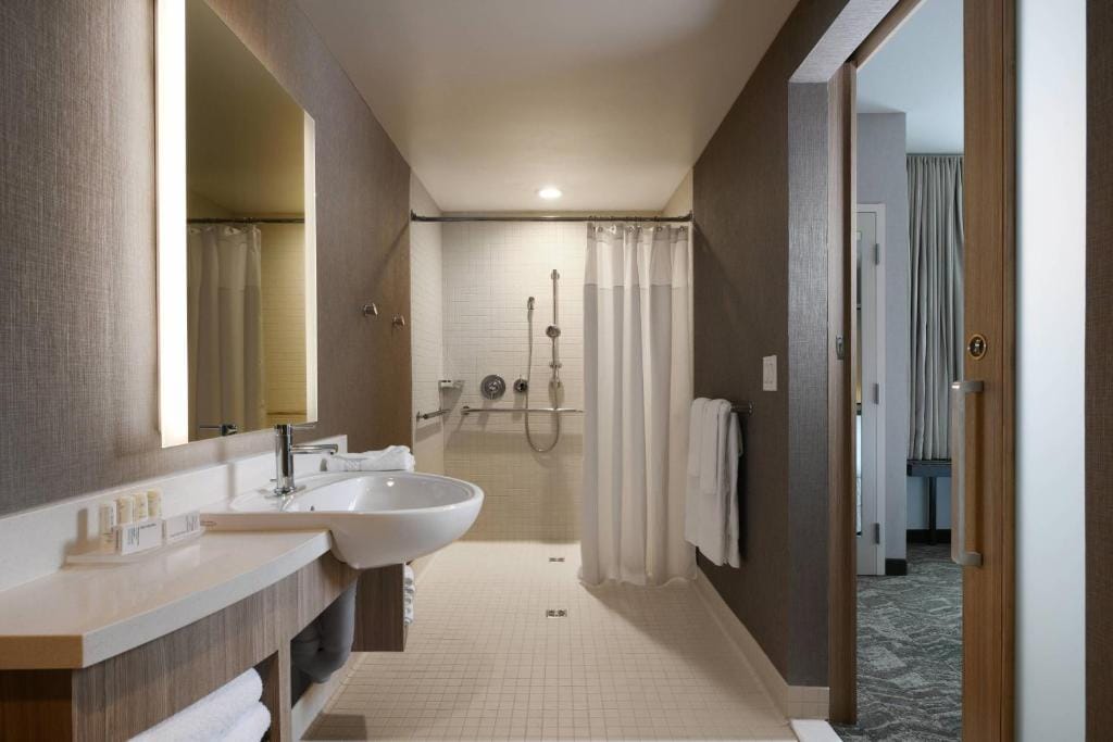 SpringHill Suites Dallas DFW Airport South/CentrePort — 3