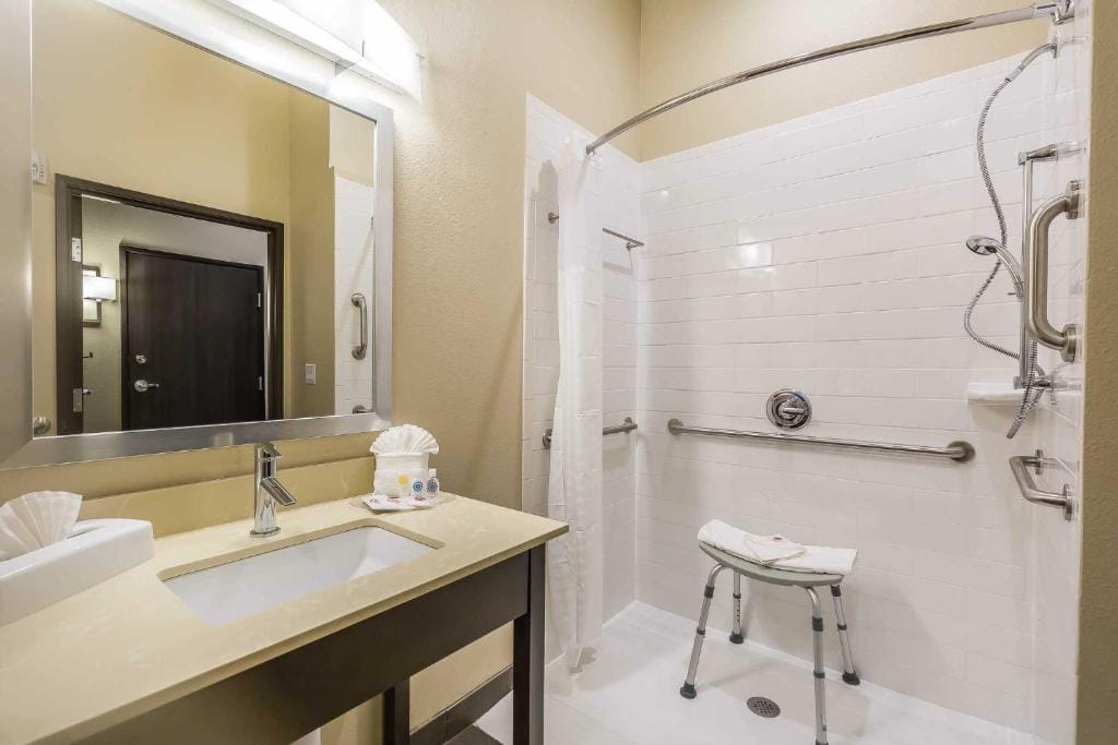 Comfort Suites Near Sam Houston Race Park — 3