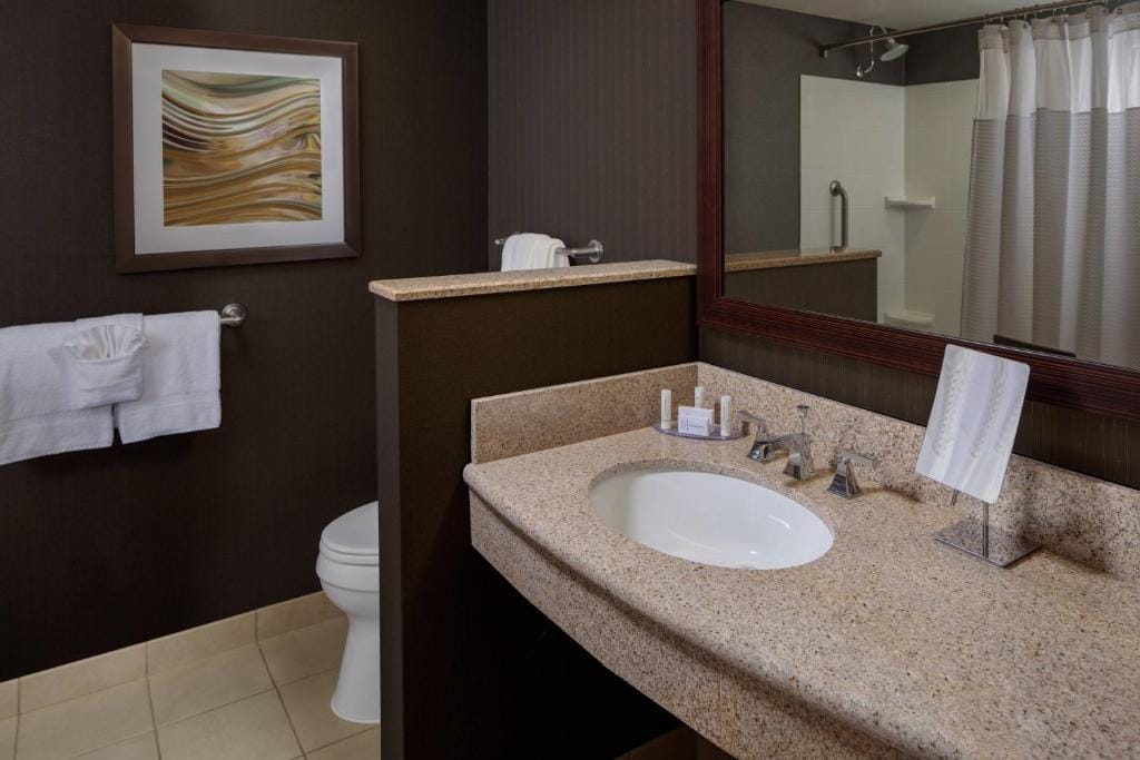 Courtyard by Marriott Houston Medical Center/NRG Park — 3