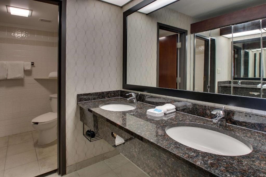 Drury Inn & Suites Houston Galleria — 3