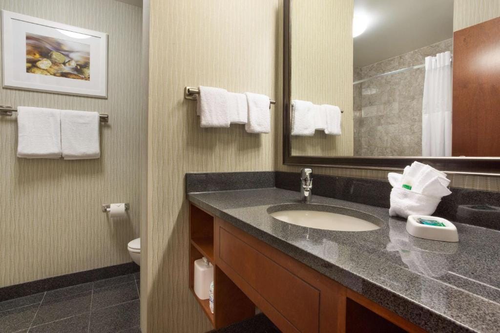 Drury Plaza Hotel Indianapolis Carmel — 3