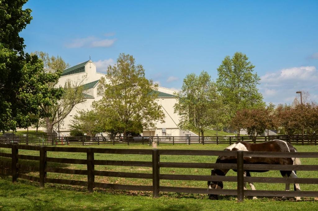 Holiday Inn Express Lexington - Horse Park Area by IHG — 5