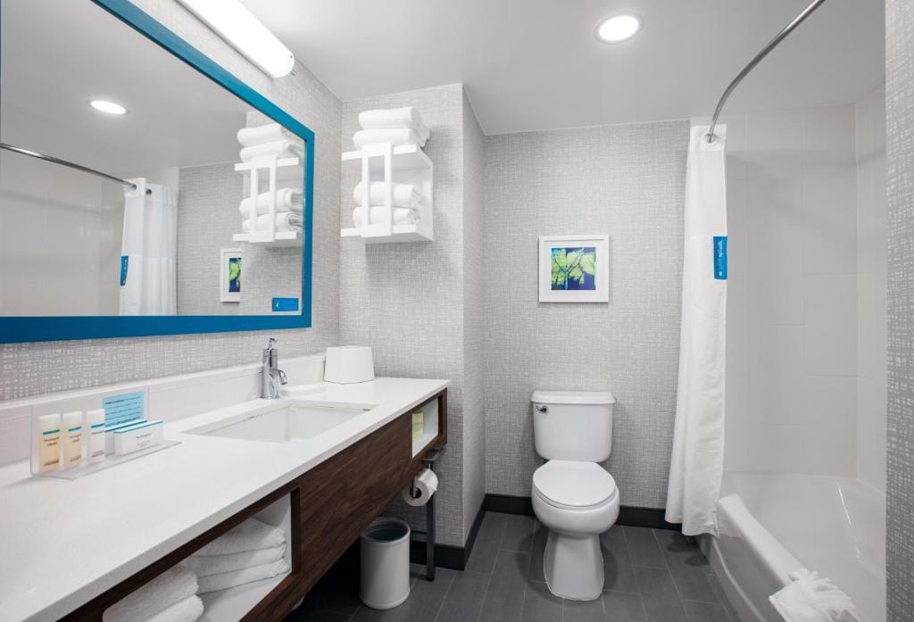Hampton Inn Lake Buena Vista / Orlando — 3