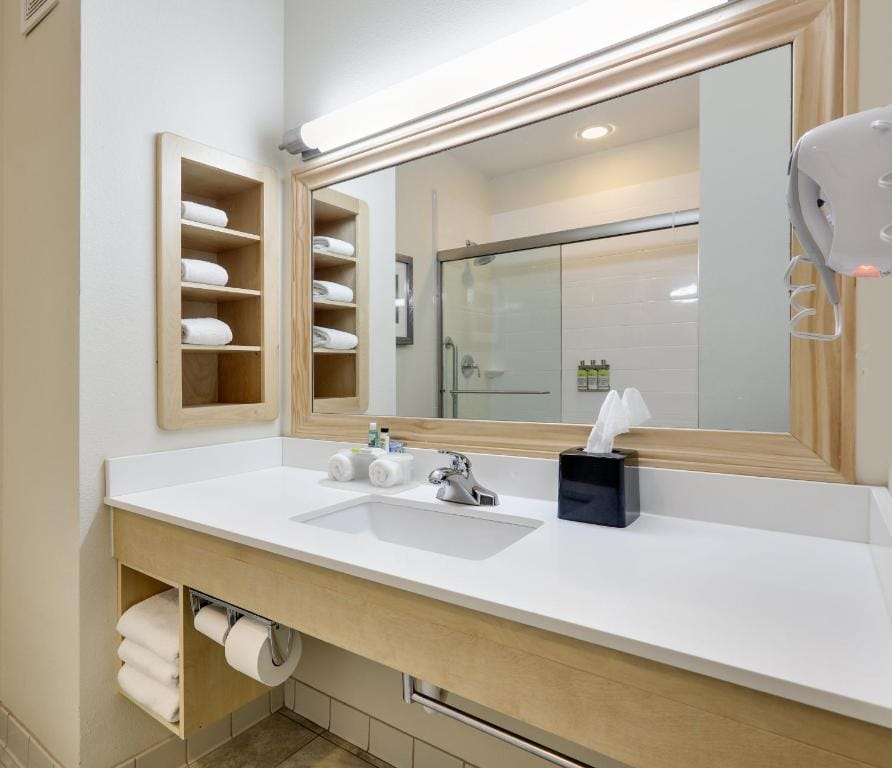Holiday Inn Express & Suites San Antonio - Brooks City Base by IHG — 3