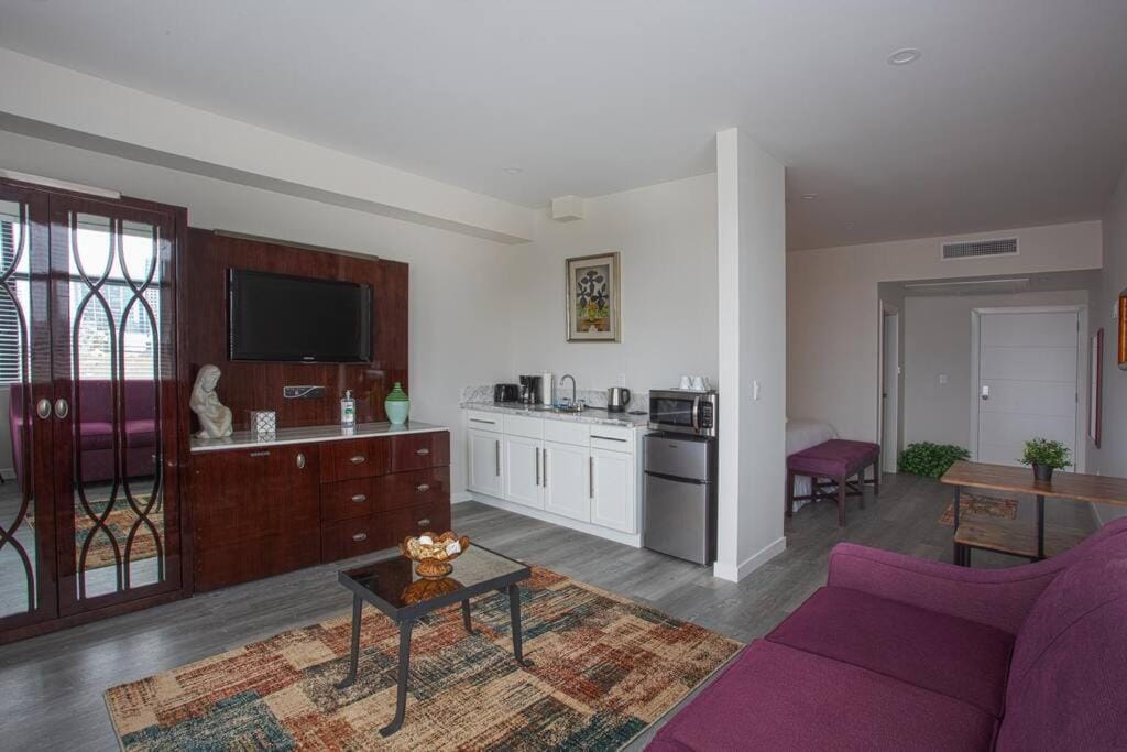 Cali King Size One Bedroom Luxurious Suite in DTSD — 4