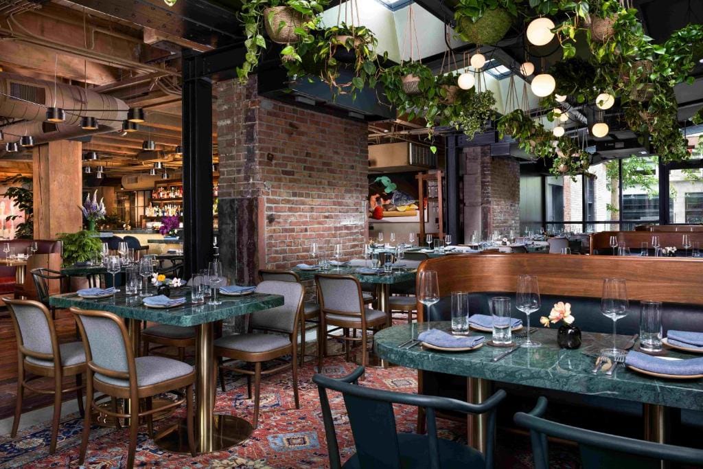 Populus Seattle — 4