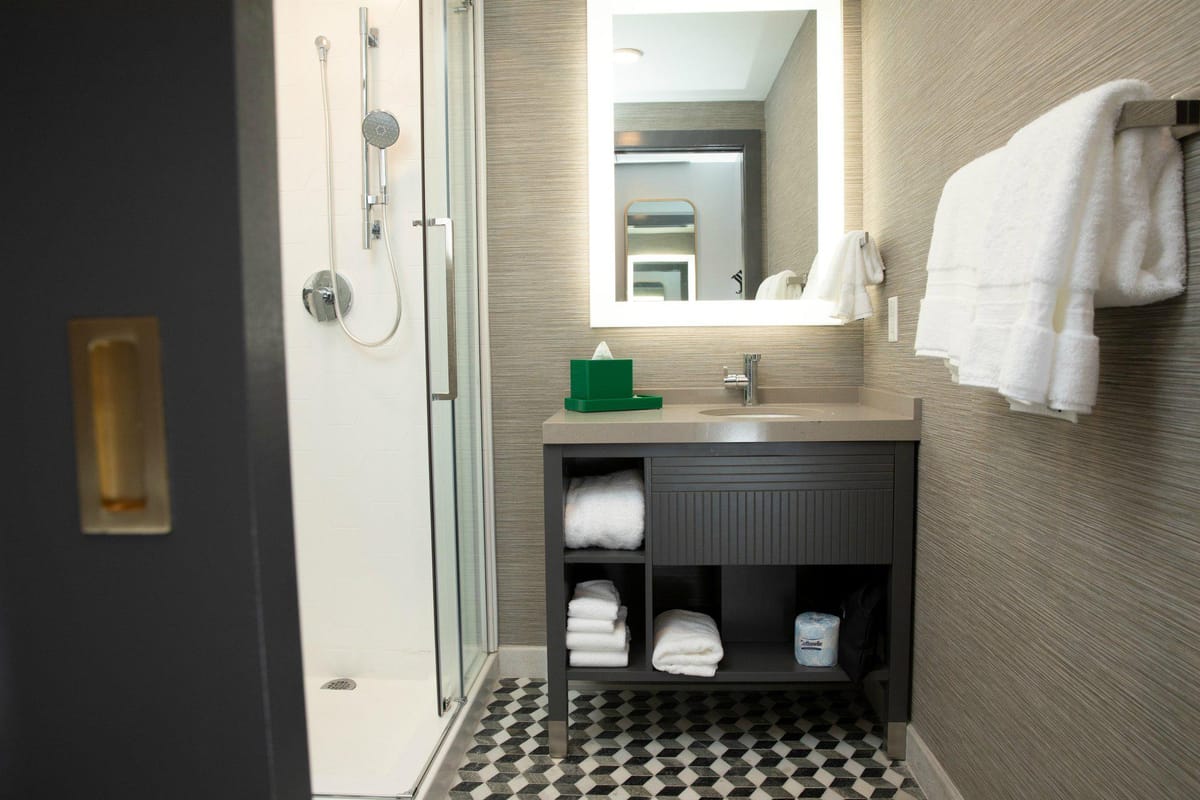 Hotel Indigo St. Louis - Downtown by IHG — 4
