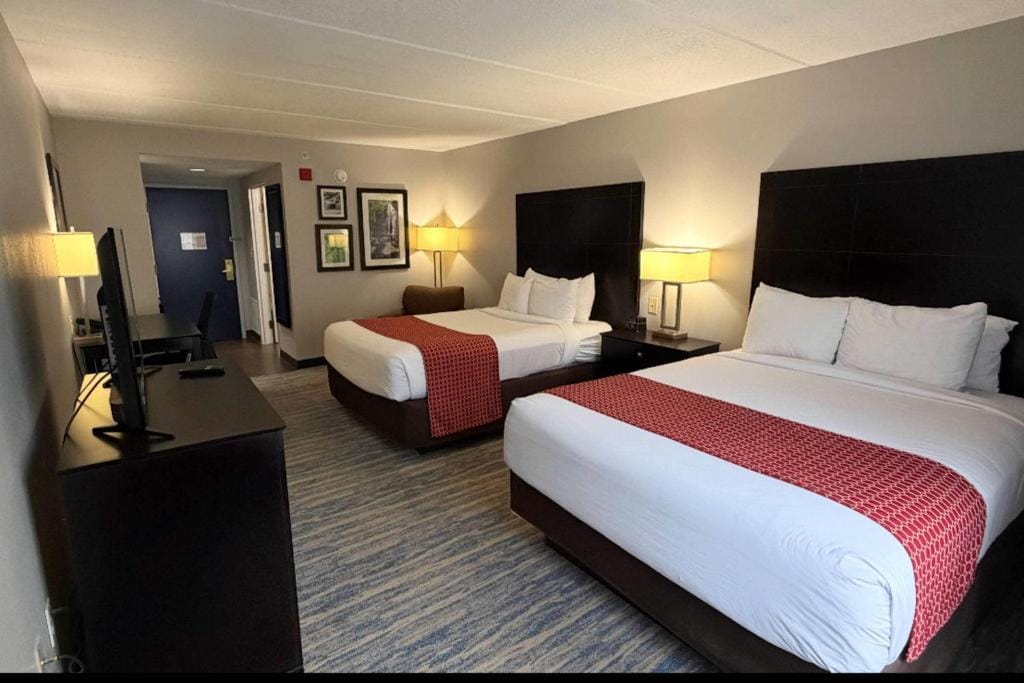 Comfort Inn & Suites Tampa North I-75 — 3