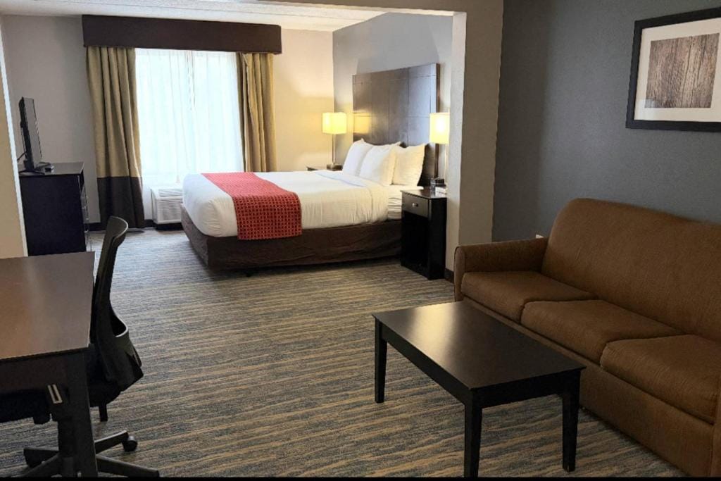 Comfort Inn & Suites Tampa North I-75 — 4