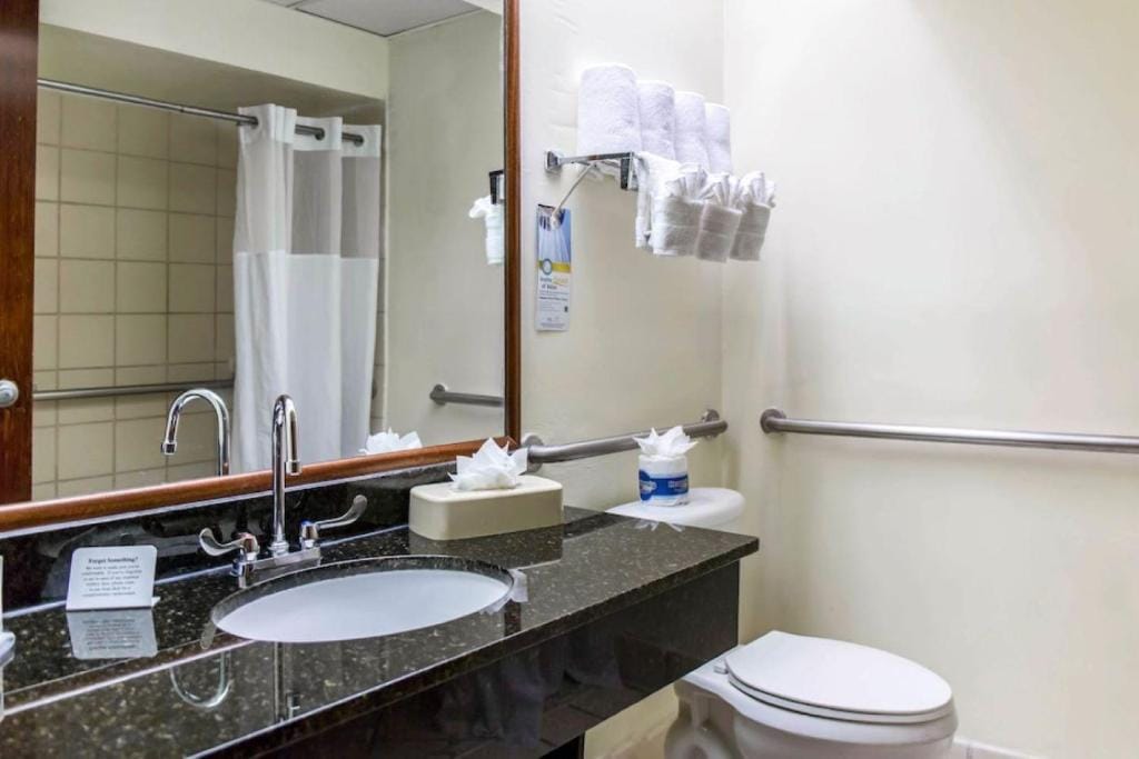 Comfort Suites Tampa - Brandon — 3