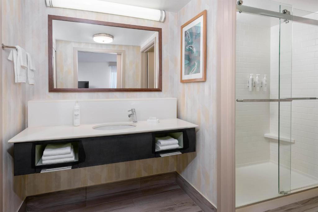 Hampton Inn & Suites Tampa Airport Avion Park Westshore — 3