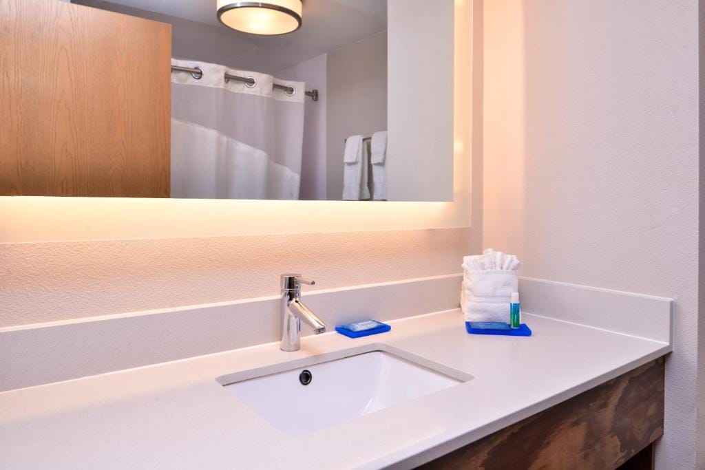 Holiday Inn Express Hotel & Suites Tampa-Anderson Road-Veterans Exp by IHG — 3
